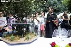 Foto 48 - Esmero y se&ntilde;or&iacute;o este Domingo de Calderas