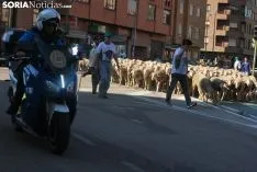 Una imagen del paso del ganado por la ciudad. /SN