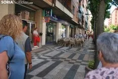 Una imagen del paso del ganado por la ciudad. /SN