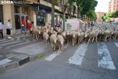 Una imagen del paso del ganado por la ciudad. /SN