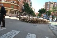 Una imagen del paso del ganado por la ciudad. /SN