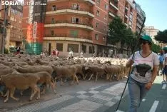 Una imagen del paso del ganado por la ciudad. /SN