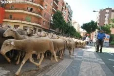 Una imagen del paso del ganado por la ciudad. /SN