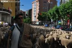 Una imagen del paso del ganado por la ciudad. /SN