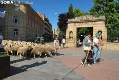 Una imagen del paso del ganado por la ciudad. /SN