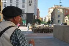 Una imagen del paso del ganado por la ciudad. /SN