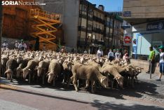 Una imagen del paso del ganado por la ciudad. /SN