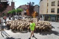Una imagen del paso del ganado por la ciudad. /SN
