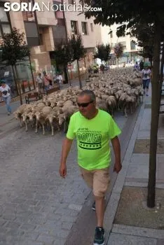 Una imagen del paso del ganado por la ciudad. /SN