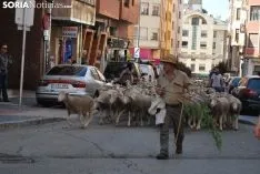 Una imagen del paso del ganado por la ciudad. /SN
