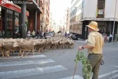 Una imagen del paso del ganado por la ciudad. /SN