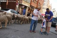 Una imagen del paso del ganado por la ciudad. /SN