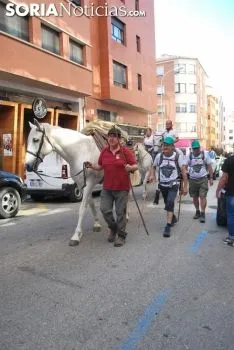Una imagen del paso del ganado por la ciudad. /SN