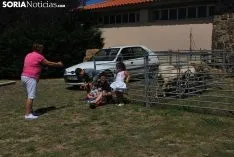 Una imagen de la feria este domingo. /SN