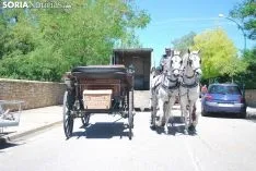 Una imagen de la feria este domingo. /SN