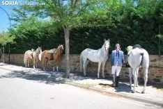 Una imagen de la feria este domingo. /SN