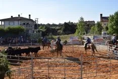 Foto 13 - GALER&Iacute;A de las im&aacute;genes del sorprendente Golmayo West
