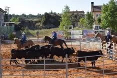 Foto 12 - GALER&Iacute;A de las im&aacute;genes del sorprendente Golmayo West