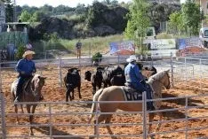 Foto 11 - GALER&Iacute;A de las im&aacute;genes del sorprendente Golmayo West