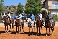 Foto 3 - GALER&Iacute;A de las im&aacute;genes del sorprendente Golmayo West