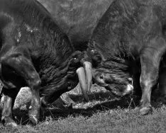 Imagen del concurso fotográfico sanjuanero de Soria Noticias. 