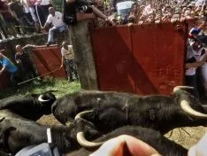 Imagen del concurso fotográfico sanjuanero de Soria Noticias. 