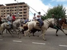 Imagen del concurso fotográfico sanjuanero de Soria Noticias. 