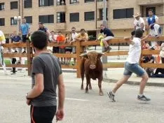 Imagen del concurso fotográfico sanjuanero de Soria Noticias. 