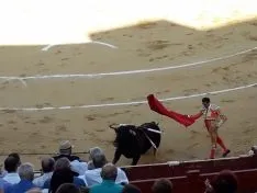 Imagen del concurso fotográfico sanjuanero de Soria Noticias. 