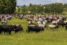 Imagen del concurso fotográfico sanjuanero de Soria Noticias. 