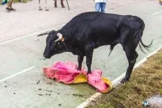 Imagen del concurso fotográfico sanjuanero de Soria Noticias. 
