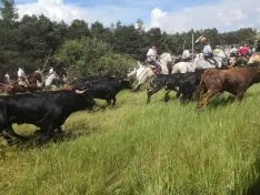 Imagen del concurso fotográfico sanjuanero de Soria Noticias. 