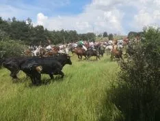 Imagen del concurso fotográfico sanjuanero de Soria Noticias. 