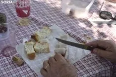 Romería de los Santos Nuevos. /EM