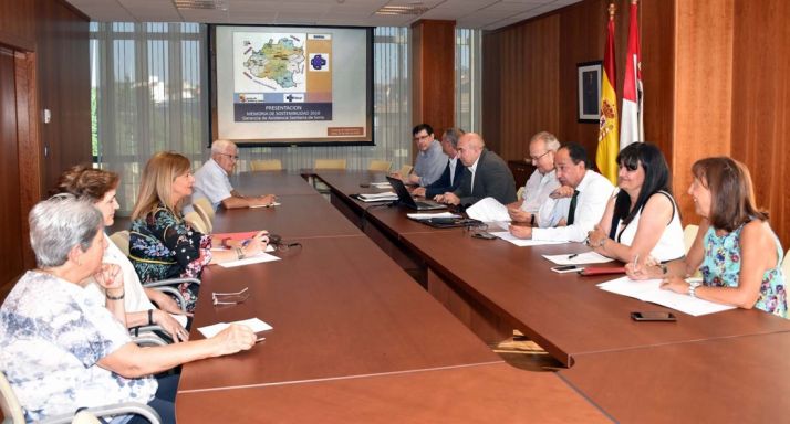 Imagen de la reunión del Consejo de Salud de Área este miércoles. /Jta.