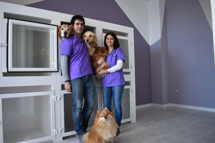 Hospitalización veterinaria