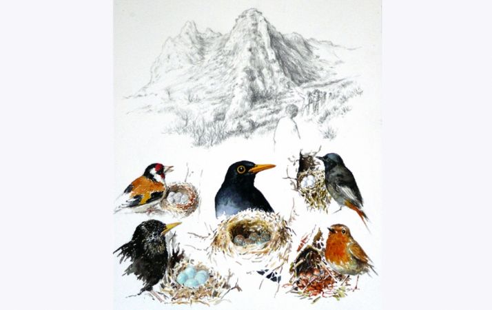 Una de las láminas expuestas. /Jta.