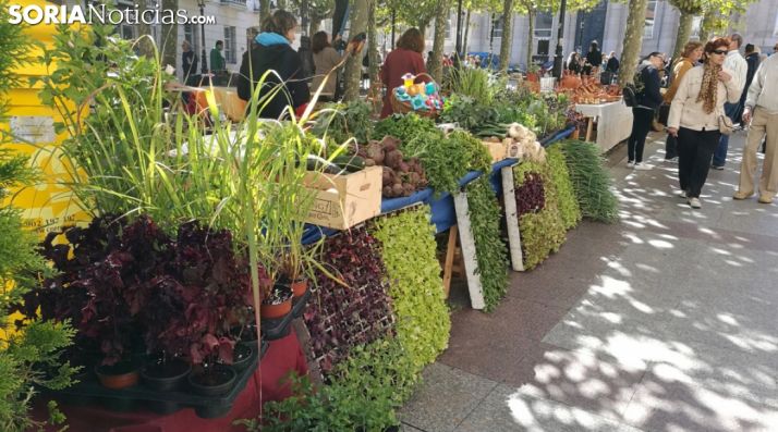 Tres citas para el Mercado Ecológico este verano