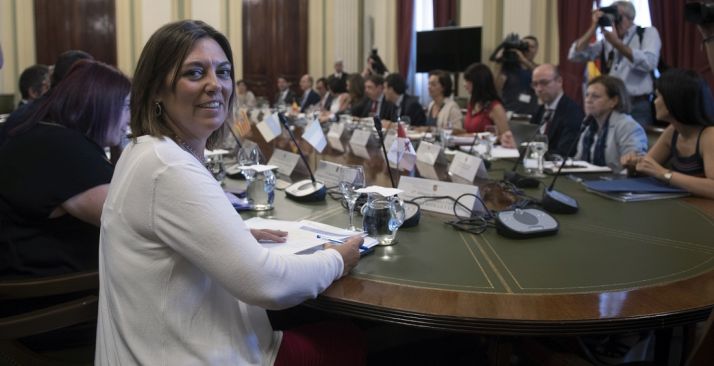 La consejera de Agricultura, Milagros Marcos, en la Sectorial de Agricultura. /Jta.