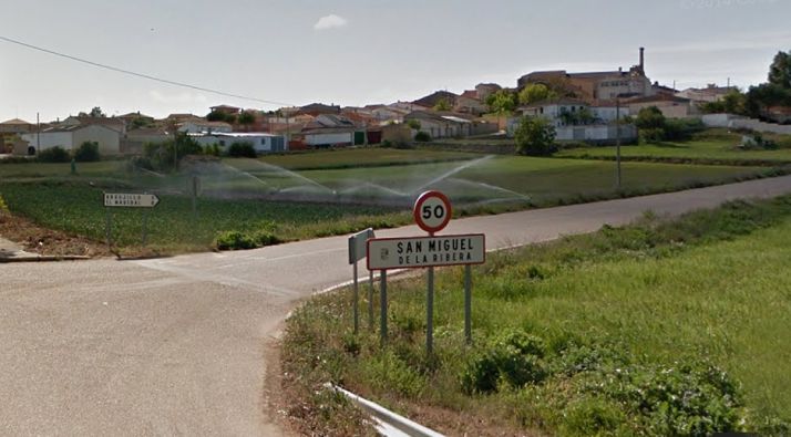 Un ataque de lobos en Zamora deja 8 ovejas muertas