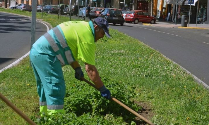 Operario en trabajos locales