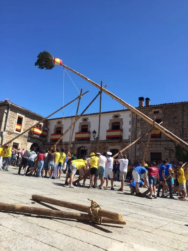 Imágenes de las pingada de los mayos en Vinuesa.