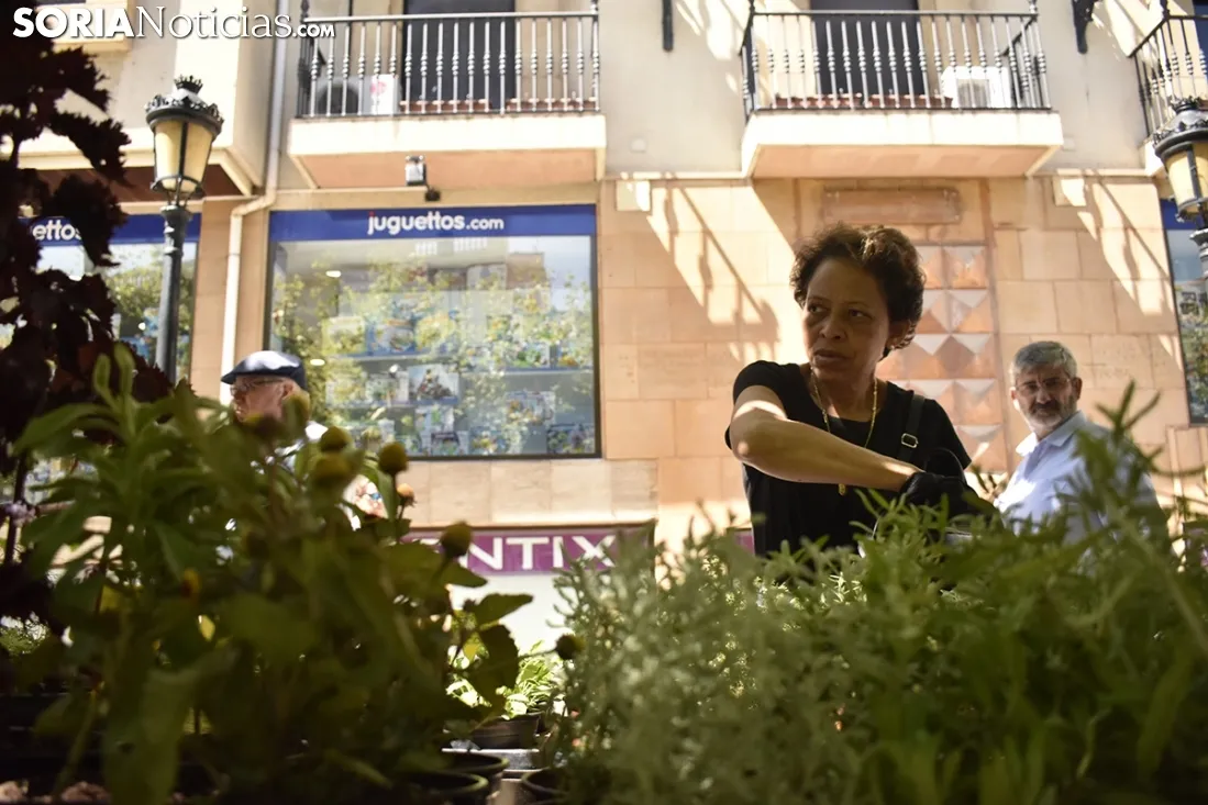 Mercado Ecológico en la plaza de San Esteban. /EM