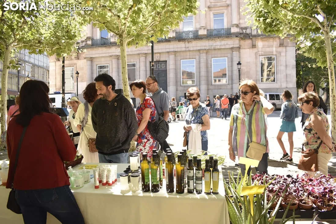 Mercado Ecológico en la plaza de San Esteban. /EM