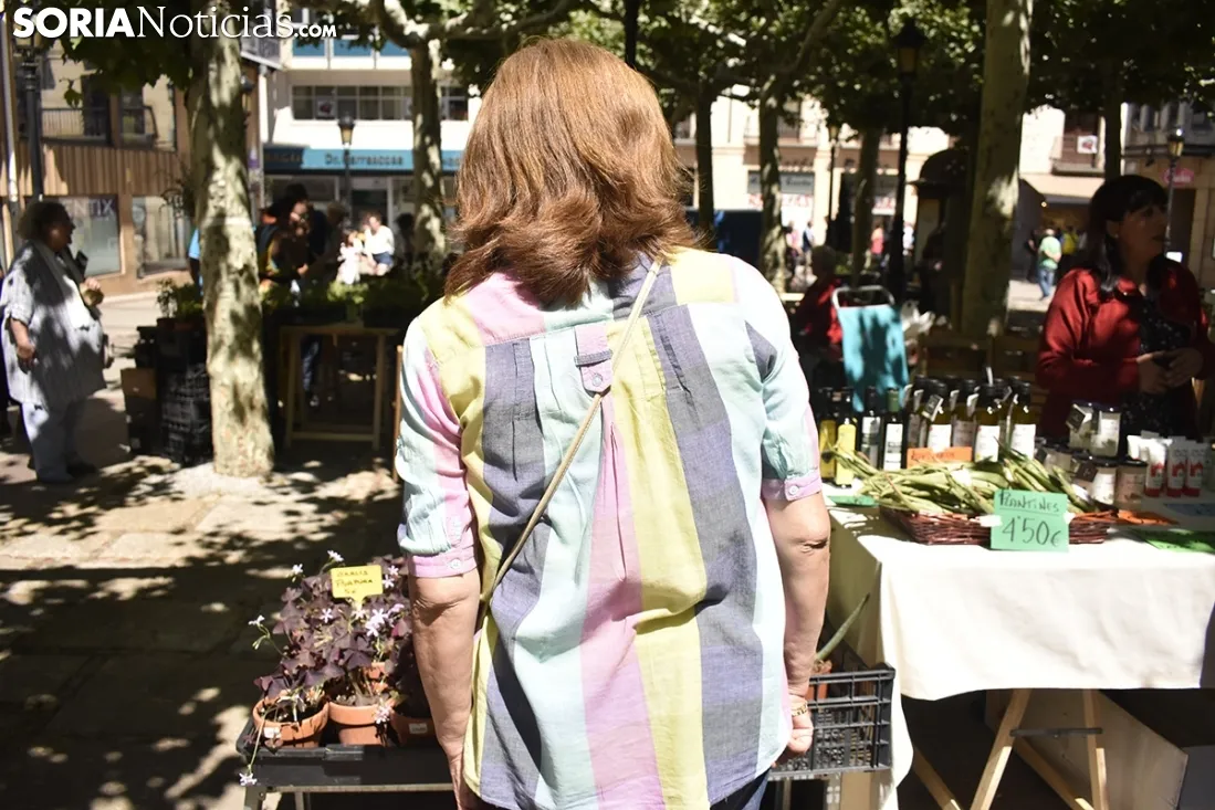 Mercado Ecológico en la plaza de San Esteban. /EM