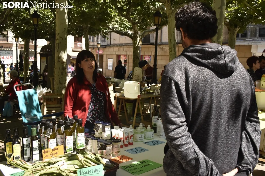 Mercado Ecológico en la plaza de San Esteban. /EM