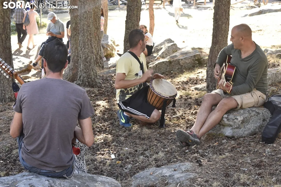 Jam Sesion de 'Músicos en la Naturaleza' de Duruelo de la Sierra. /EM