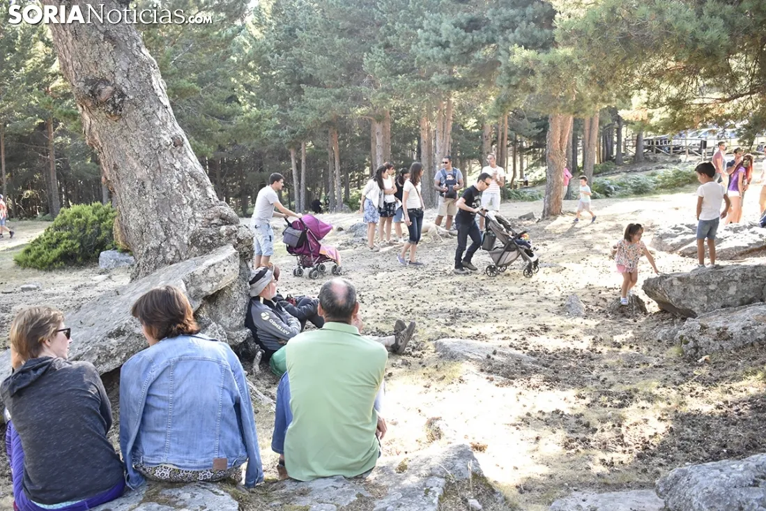 Jam Sesion de 'Músicos en la Naturaleza' de Duruelo de la Sierra. /EM