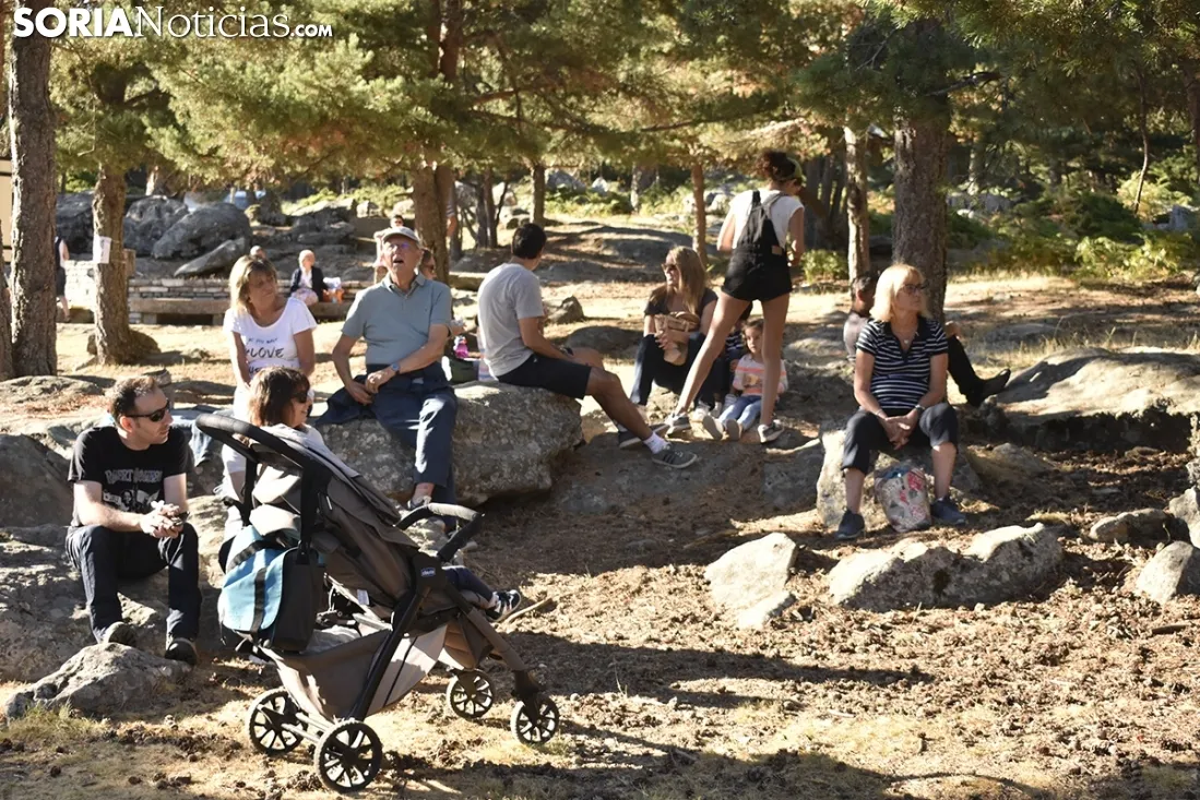 Jam Sesion de 'Músicos en la Naturaleza' de Duruelo de la Sierra. /EM