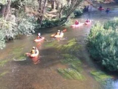 XXXIII Descenso Popular en Piragua. Organización